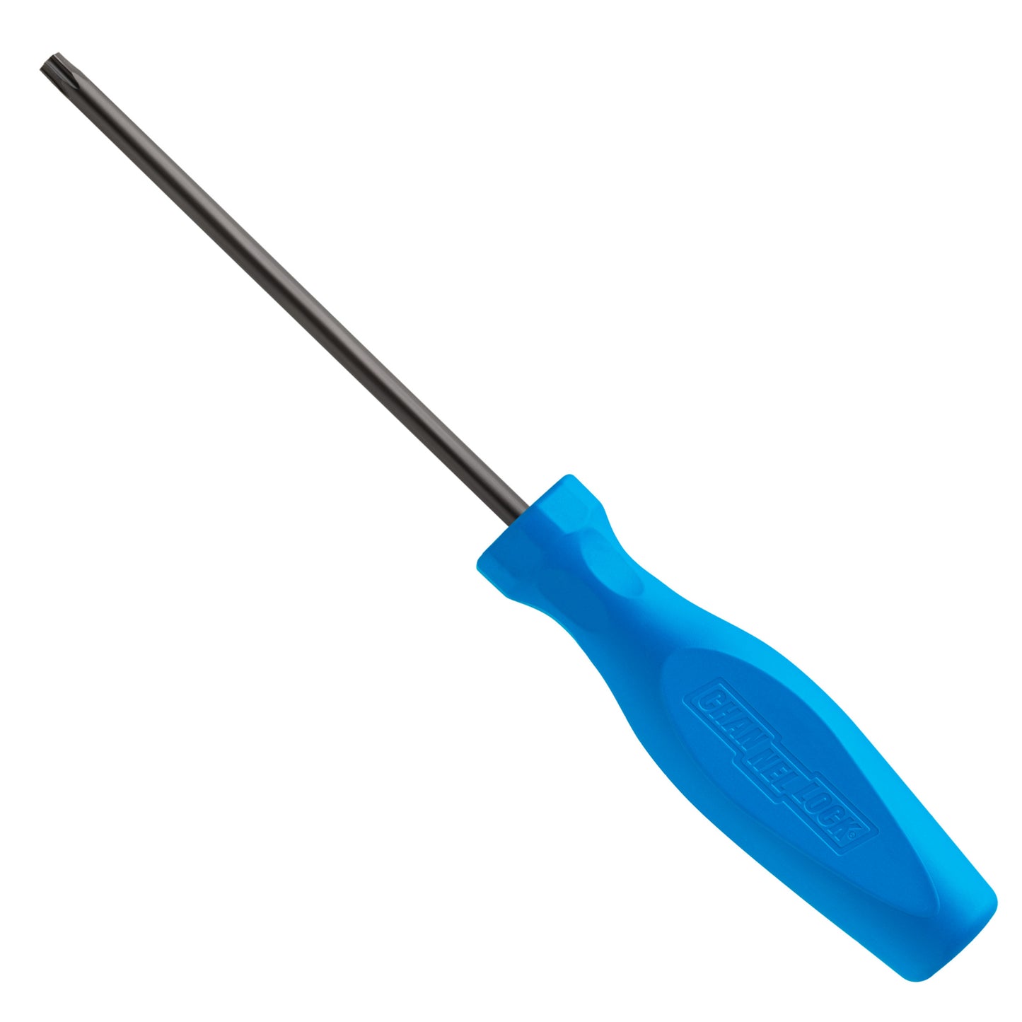 TORX T25 X 4-inch Professional Screwdriver (T254H)